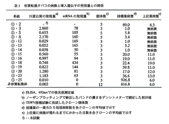 表1:形質転換タバコの病徴と導入遺伝子の発現量との関係