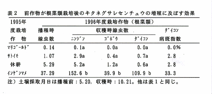 表2:前作物が根菜類栽培後のキタネグサレセンチュウの増殖に及ぼす効果