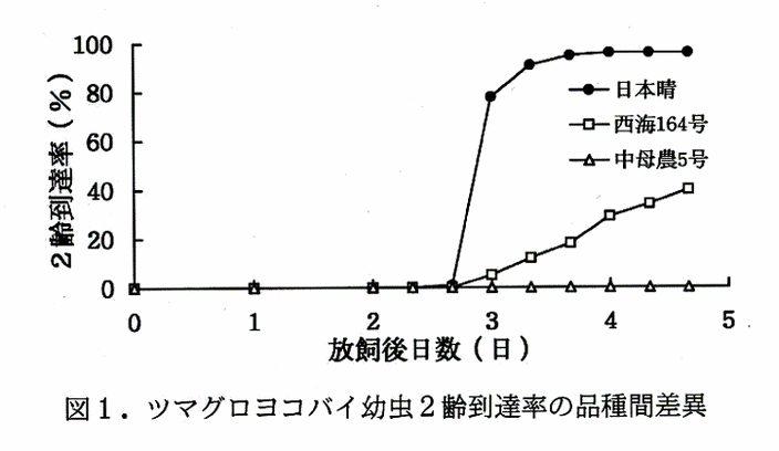 図1:ツマグロヨコバイ幼虫2齢到達率の品種間差異