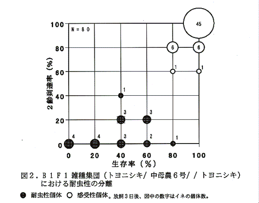 図2:B1F1雑種集団(トヨニシキ/中母農6号//トヨニシキ)における耐虫性の分離