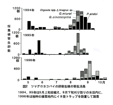 図2:ツマグロヨコバイの卵寄生蜂の寄生消長