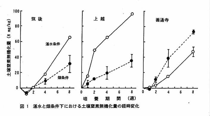 図1:湛水と畑条件下における土壌窒素無機化量の経時変化