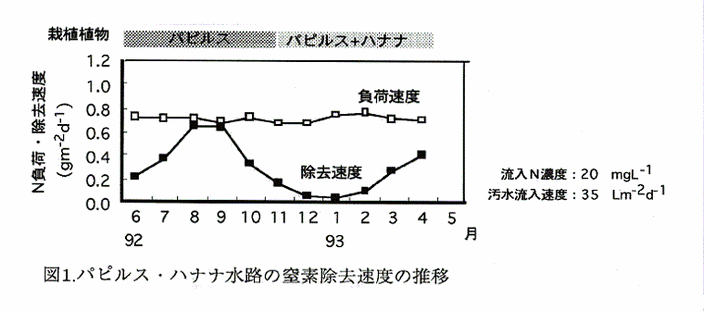 図1:パピルス・ハナナ水路の窒素除去速度の推移