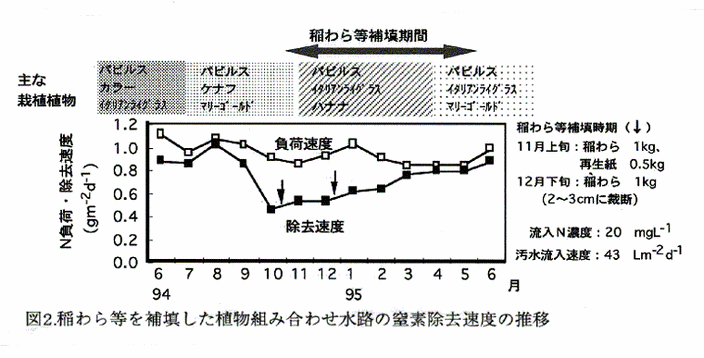 図2:稲わら等を補填した植物組み合わせ水路の窒素除去速度の推移