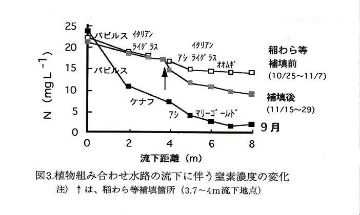図3:植物組み合わせ水路の流下に伴う窒素濃度の変化