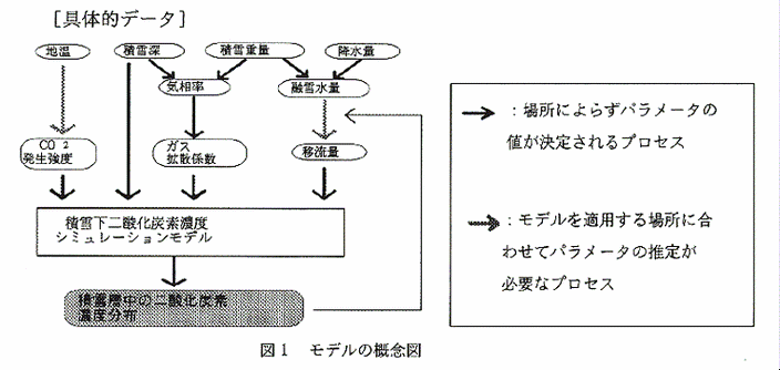 図1:モデルの概念図