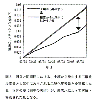 図3:図2と同期間における、土壌から発生する二酸化炭素量と大気中に放出される二酸化炭素量とを積算した量。両者の差(図中の矢印)が、融雪水によって溶解・移流された量となる。