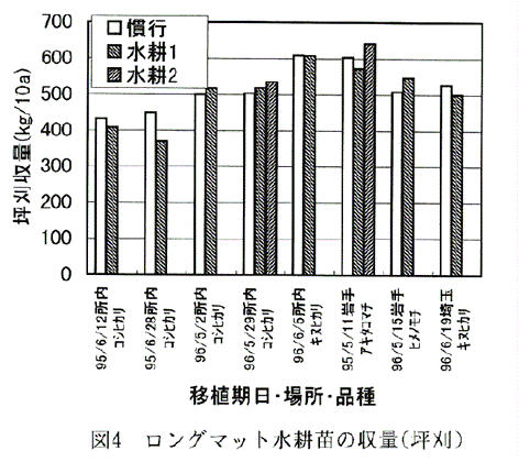 図4:ロングマット水耕苗の収量(坪刈)