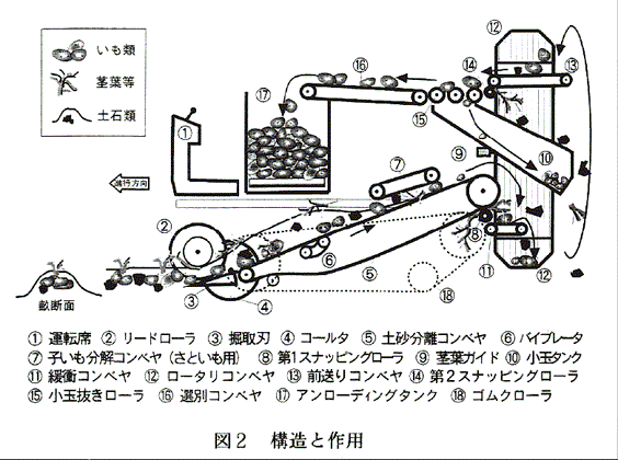 図2:構造と作用