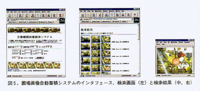図5:圃場画像自動蓄積システムのインタフェース。検索画面(左)と検索結果(中、右)