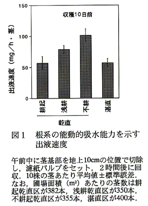 図1:根系の能動的吸水能力を示す出液速度