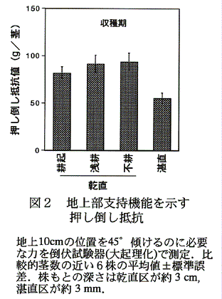 図2:地上部支持機能を示す押し倒し抵抗