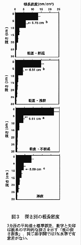 図3:深さ別の根長密度