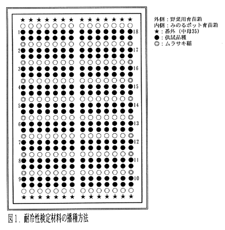 図1:耐冷性検定材料の播種方法