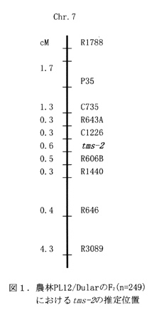 図1:農林PL12/DularのF2(n=249)におけるtms-2の推定位置