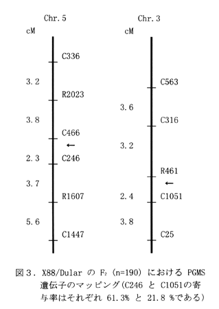 図3:X88/DularのF2(n=190)におけるPGMS遺伝子のマッピング