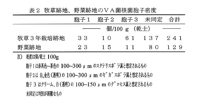 表2:牧草跡地、野菜跡地のVA菌根菌胞子密度