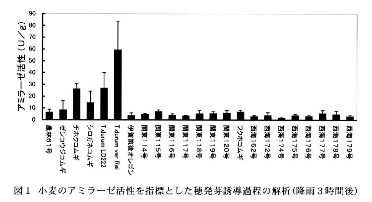 図1:小麦のアミラーゼ活性を指標とした穂発芽誘導過程の解析(降雨3時間後)