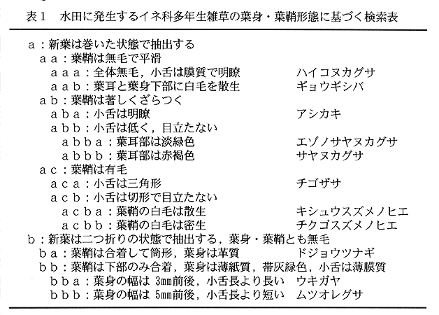 表1:水田に発生するイネ科多年生雑草の葉身・葉鞘形態に基づく検索表