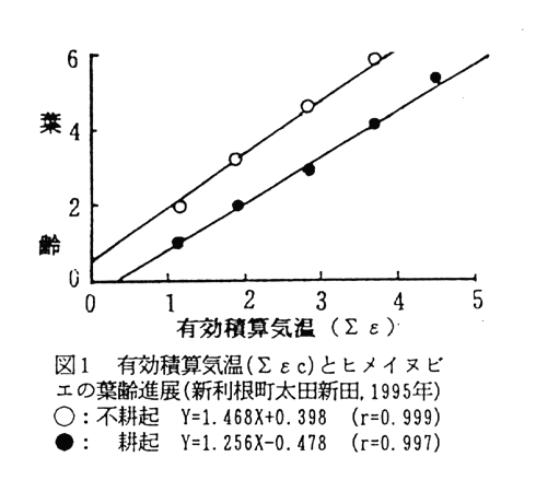 図1:有効積算気温(Σεc)とヒメイヌビエの葉齢進展