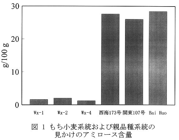 図1. もち小麦系統および親品種系統の見かけのアミロース含量