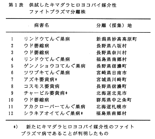 表1:供試したキマダラヒロヨコバイ媒介性ファイトプラズマ分離株
