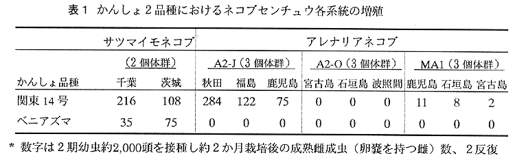 表1:かんしょ2品種におけるネコブセンチュウ各系統の増殖