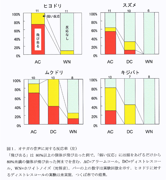 図1:オナガの音声に対する反応率(左)