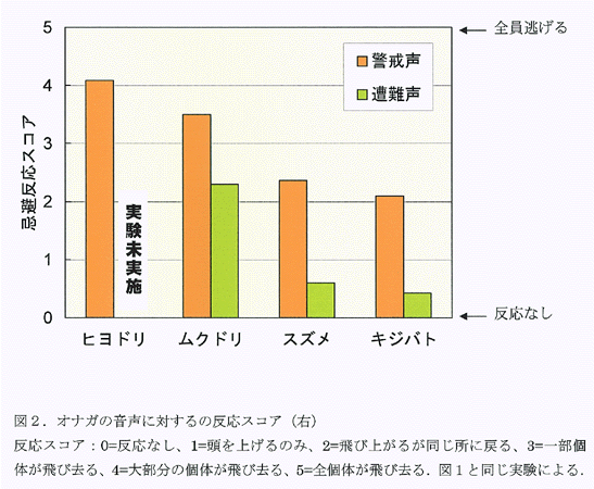 図2:オナガの音声に対するの反応スコア(右)