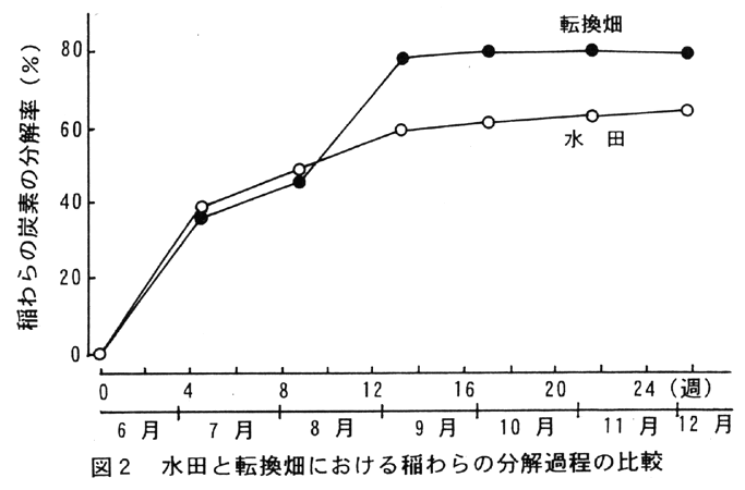図2:水田と転換畑における稲わらの分解過程の比較