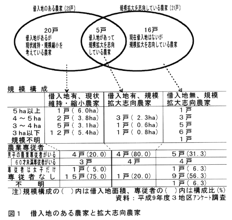 図1:借入地のある農家と拡大志向農家