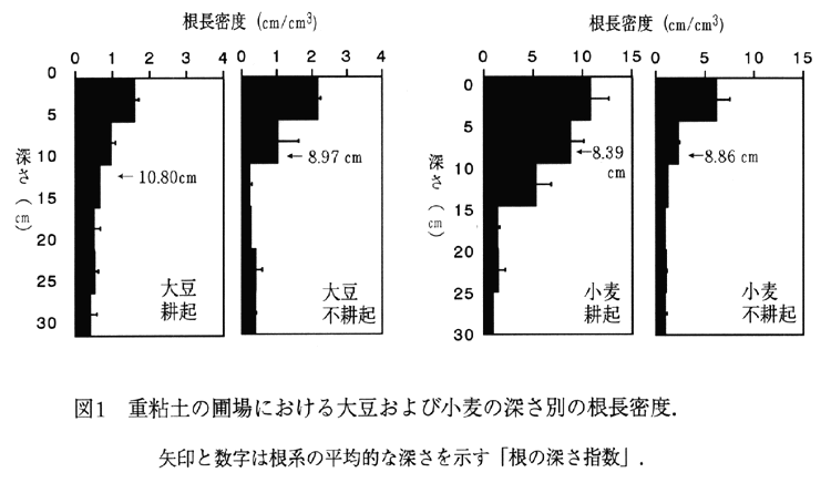 図1:重粘土の圃場における大豆および小麦の深さ別の根長密度