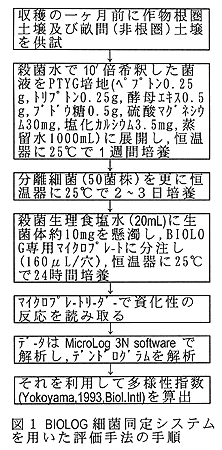 図1:BIOLOG細菌同定システムを用いた評価手法の手順