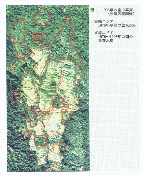 図1:1996年の空中写真[強調処理画像]