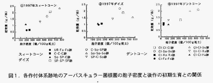 図1:各作付体系跡地のアーバスキュラー菌根菌の胞子密度と後作の初期生育との関係