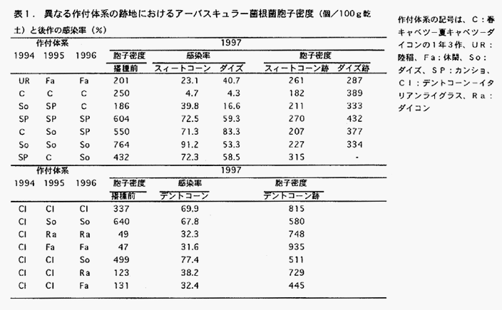 表1:異なる作付体系の跡地におけるアーバスキュラー菌根菌胞子密度(個/100g乾土)と後作の感染率(%)