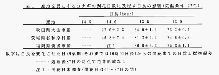 表1:産地を異にするコナギの到花日数に及ぼす日長の影響(気温条件:27°C)