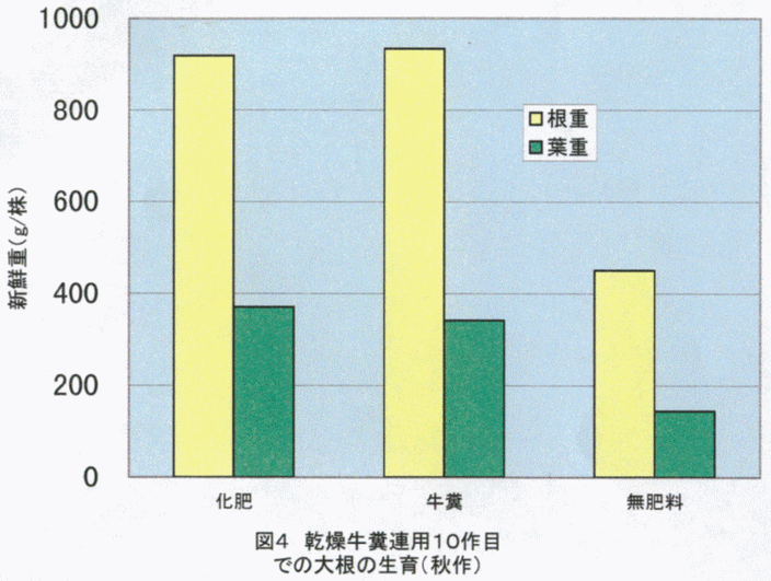 図4
:乾燥牛糞連用10作目での大根の生育(秋作)