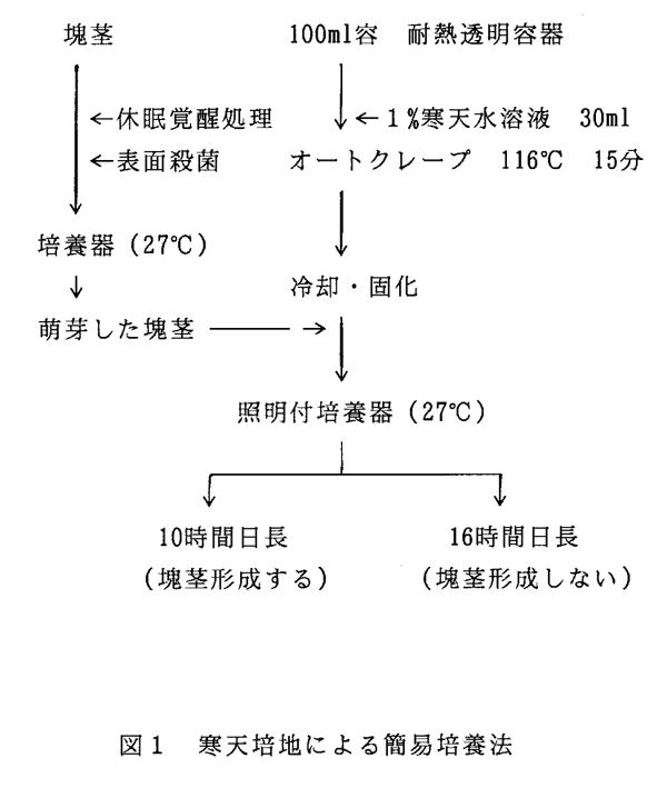 図1:寒天培地による簡易培養法