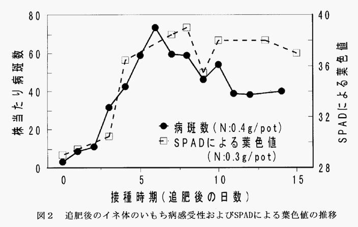 図2:追肥後のイネ体のいもち病感受性およびSPADによる葉色値の推移