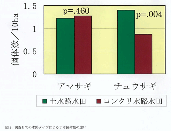 図2:調査Bでの水路タイプによるサギ個体数の違い
春5回、秋3回の平均値を示す。pの値は水路タイプによる違いについての検定結果 (2-way ANOVA)。