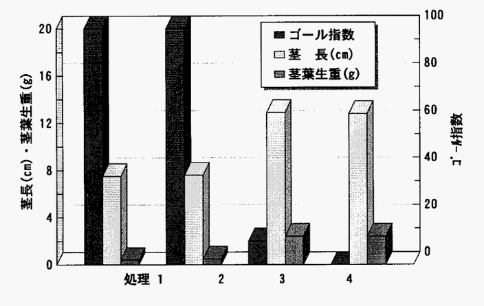 図3:土壌のメチオニン処理とトマトの生育及び線虫の寄生度
ゴール指数:線虫の寄生皆無を0、根全体が線虫の寄生によってこぶが連続した場合を100として表した線虫の寄生程度