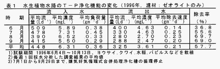 表1:水生植物水路のT-P浄化機能の変化(1996年,濾材:ゼオライトのみ)