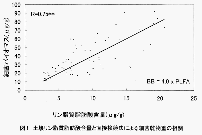 図1
:土壌リン脂質脂肪酸含量と直接検鏡法による細菌乾物重の相関