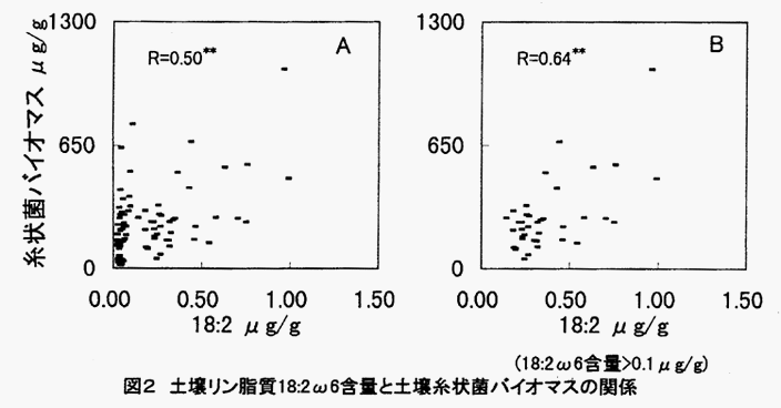 図2
:土壌リン脂質18:2ω6含量と土壌糸状菌バイオマスの関係