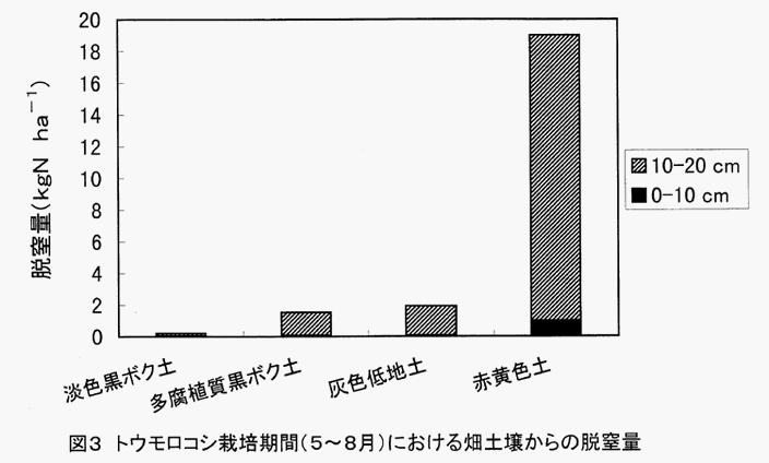 図3トウモロコシ栽培期間(5～8月)における畑土壌からの脱窒量
