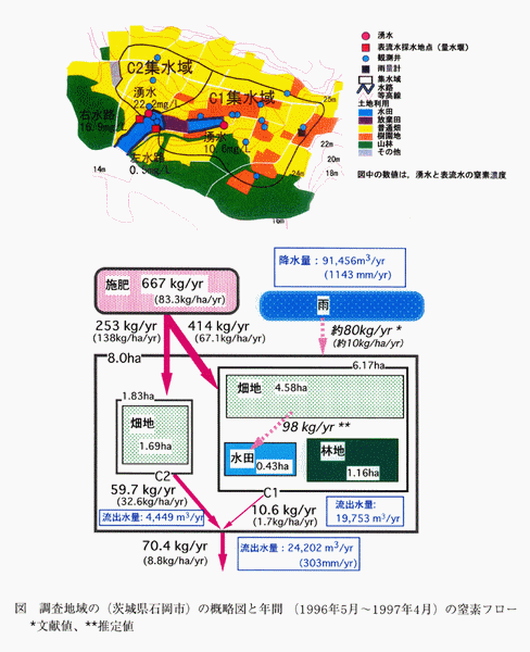 図2:調査流域(茨城県石岡市)の概略図と年間(1996年5月～1997年4月)窒素フロー
*文献値、**推定値