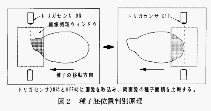図2:種子胚位置判別原理