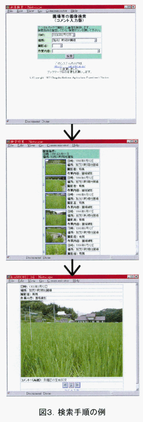 図3:検索手順の例