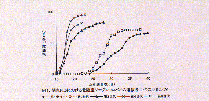 図1.関東PL6における北陸産ツマグロヨコバイの選抜各世代の羽化状況